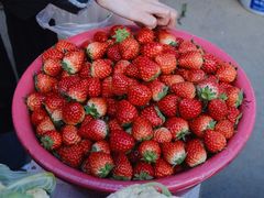 -陈家镇裕安农贸市场