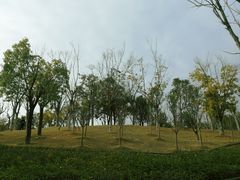 -牛岗山公园