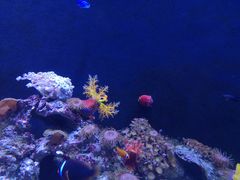 -成都浩海立方海洋公园