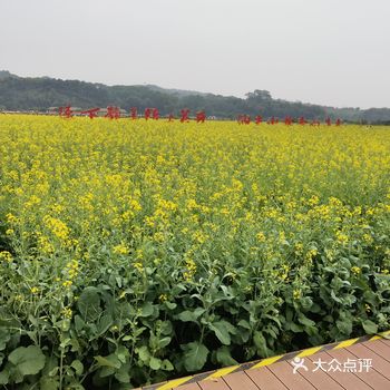 最难得是不用门票不用停车费，不过车位明显是不够的