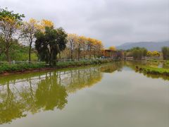 -天适樱花悠乐园