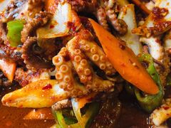 炒八爪鱼-全州拌饭馆(断桥店)