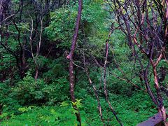 -玉渡山自然风景区