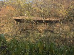 -杭州半山国家森林公园