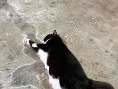 -下面馆