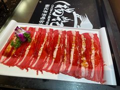 -杨记齐齐哈尔烤肉(五莲路店)