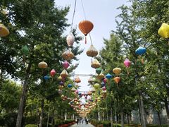 -南宫五洲植物乐园