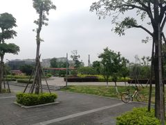 -光明港公园