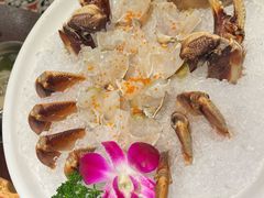 -东海怡品海鲜豆捞(舟宿夜江店)