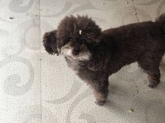 -百年尹氏汤包(湖南路狮子桥店)