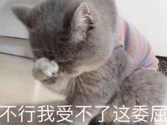 -游人馆·桌游狼人杀团建馆(人广书城店)