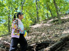 -栾川竹海野生动物园