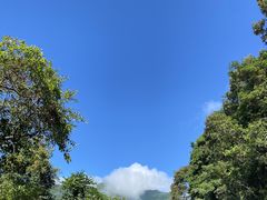 -梧桐山风景名胜区