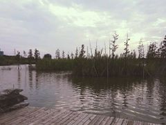 -九里湖国家湿地公园