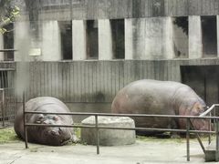 -成都动物园