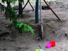 -白水寺森林公园