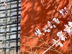 -北京丽景湾国际酒店