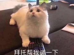 -LELECHA乐乐茶(新街口大洋店)