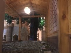 -汤森悠生活文化汤(江宁万达店)