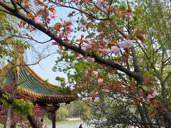 -南通濠河风景名胜区