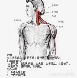 -卡莫瑜伽·普拉提