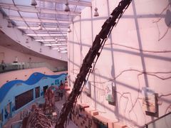 -陕西自然博物馆