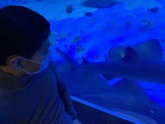 -石家庄海洋公园