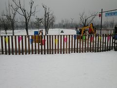 -绿野森林乐园冰雪季
