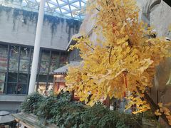 -阿大排档(长春这有山店)