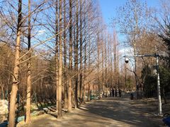 -白水寺森林公园