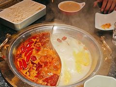 -熊喵来了火锅(长安万达第94分店)