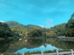 -广州市帽峰山景区