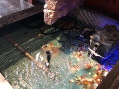 -水晶之星洗浴温泉汗蒸