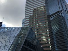 -香港大学