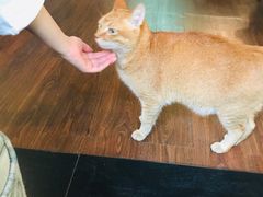 -默迹咖啡馆