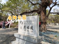 -北陵公园