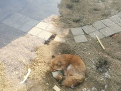 -无锡动物园·太湖欢乐园