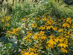 -国家植物园南园