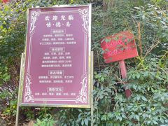 -佛慧山
