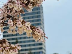 -成都市活水公园