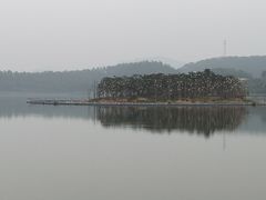 -美的鹭湖森林度假区