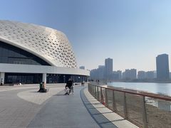-金沙湖公园