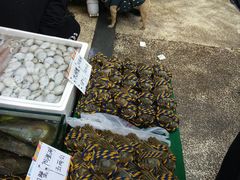 -渔人码头(洛溪店)