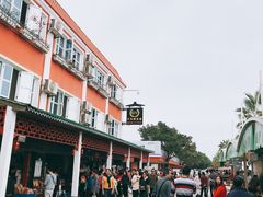-大湾区中央湿地公园-十九涌