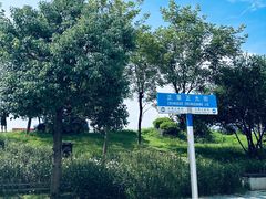 -传说中那条蛋散