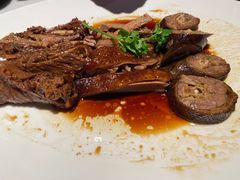 -MR鹅外