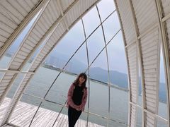 -长兴太湖图影湿地文化园