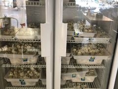 -真真鲜馄饨店(启蒙路店)