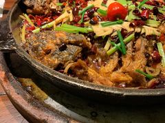-老板恋上鱼(荣盛广场店)