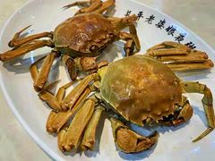 -长平老姿娘夜粥(平东一街店)